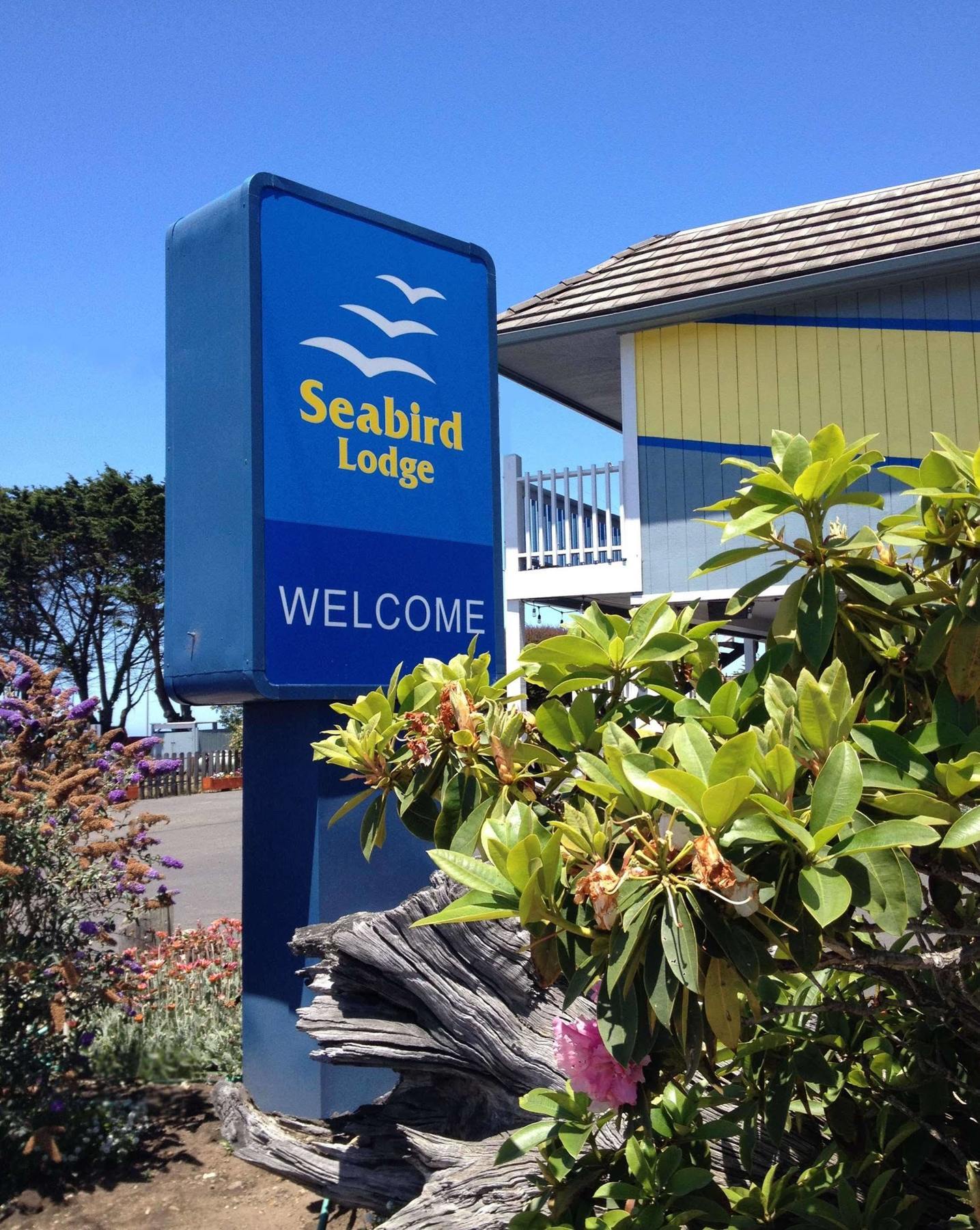 Seabird Lodge Fort Bragg Exterior photo